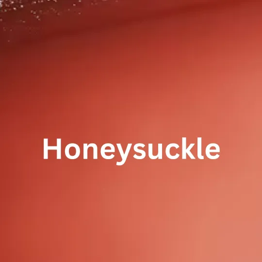Honeusucke